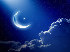 ������ ������ ����� ����